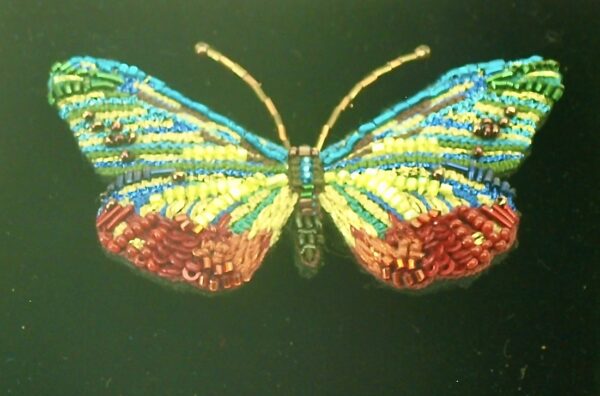 Cepora-Jewel-Butterfly