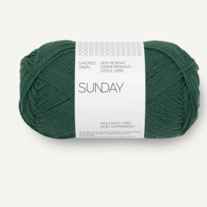 Sunday Rainforest 7772